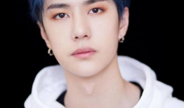 娱乐圈吃瓜cp博君一肖,娱乐圈的甜蜜瓜田，CP互动引粉丝狂欢