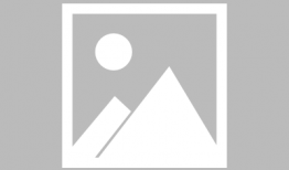 娱乐圈摆烂吃瓜郁可可,娱乐圈摆烂吃瓜，揭秘明星幕后生活