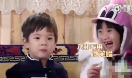 吃瓜娱乐圈网友,揭秘明星幕后故事